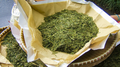 High Grade Longjing (Dragon Well)