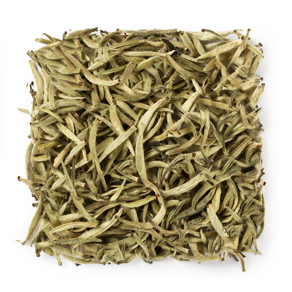 Silver Needle White Tea